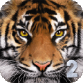 ռϻģ2 Ultimate Tiger Simulator 2 V1.0